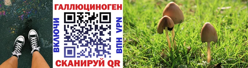 mega сайт  Спасск-Рязанский  Псилоцибиновые грибы мицелий 
